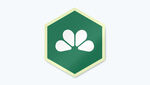 Hexagon Labels