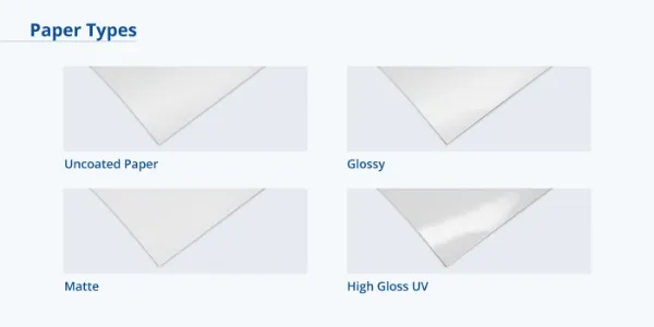 Premium Business Flyers