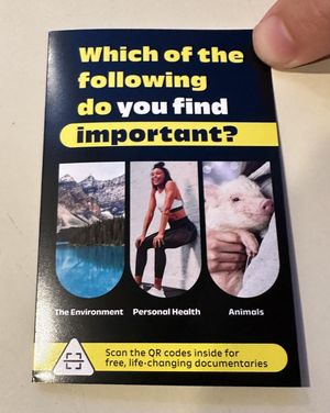 Excellent All Around!