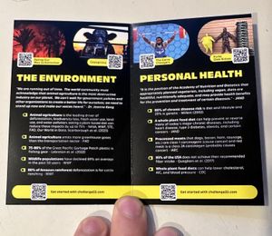 Excellent All Around!