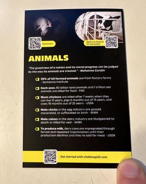 Excellent All Around!