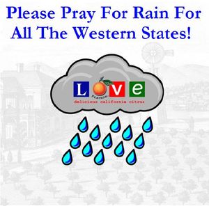 Easy decision to re-order