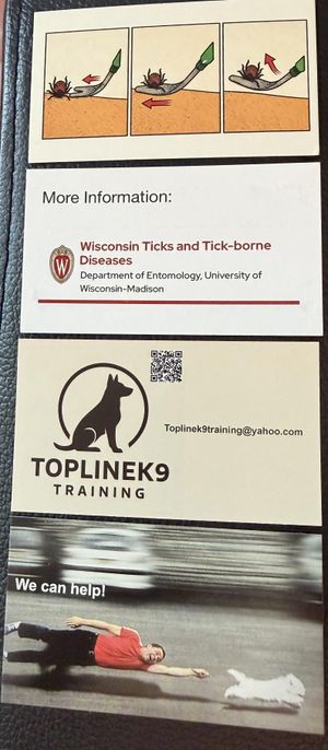 A gift and reminder card for my clients 